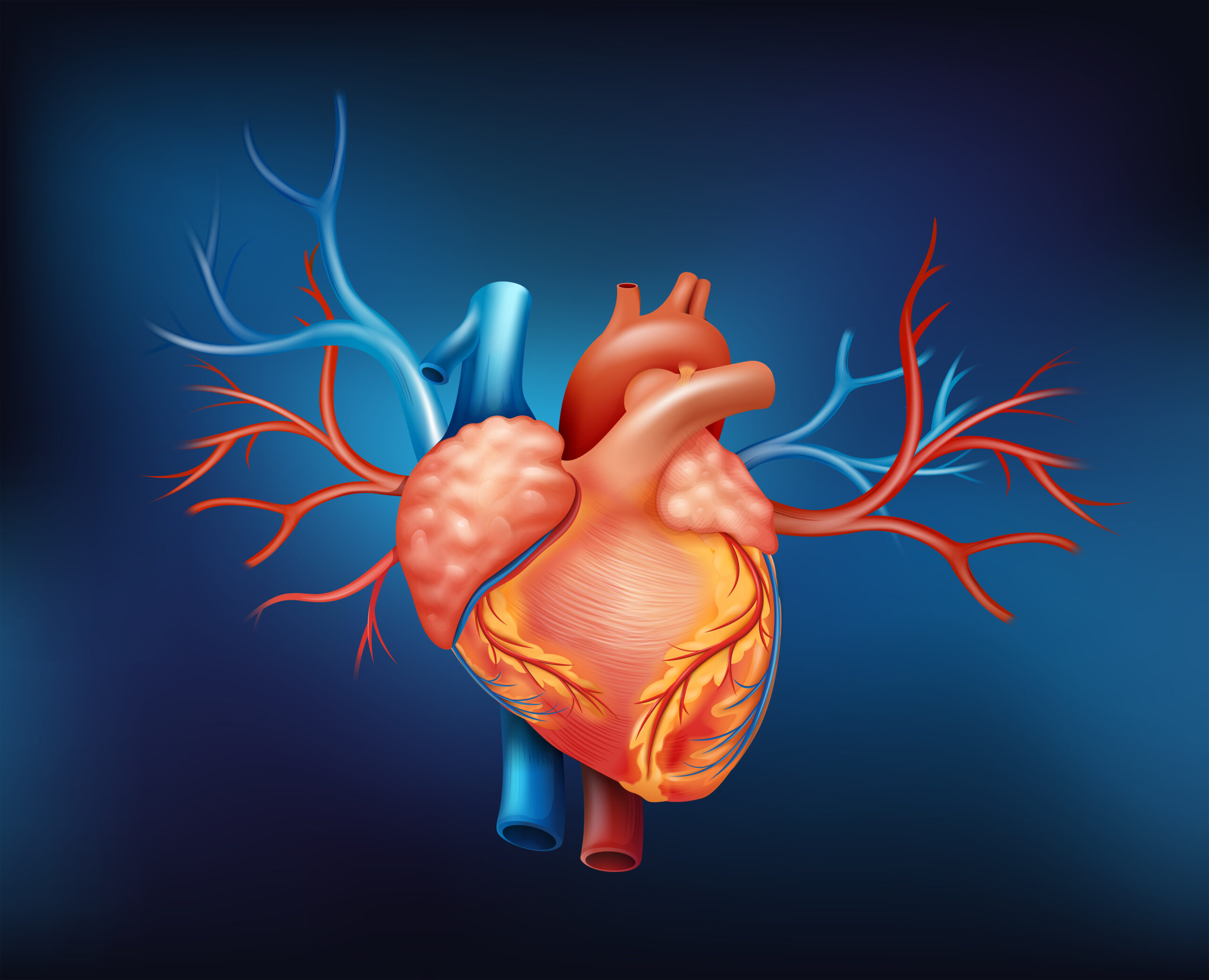 हृदय रोग और उपचार